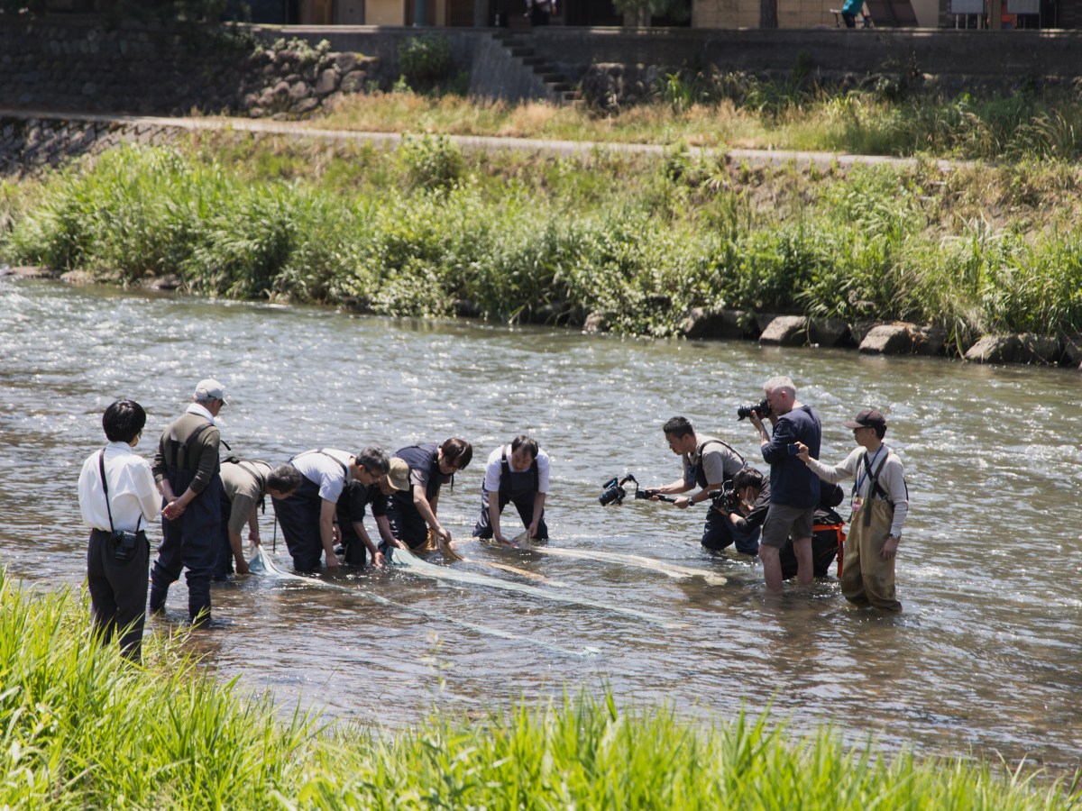 6 Months later: Small things about Japan